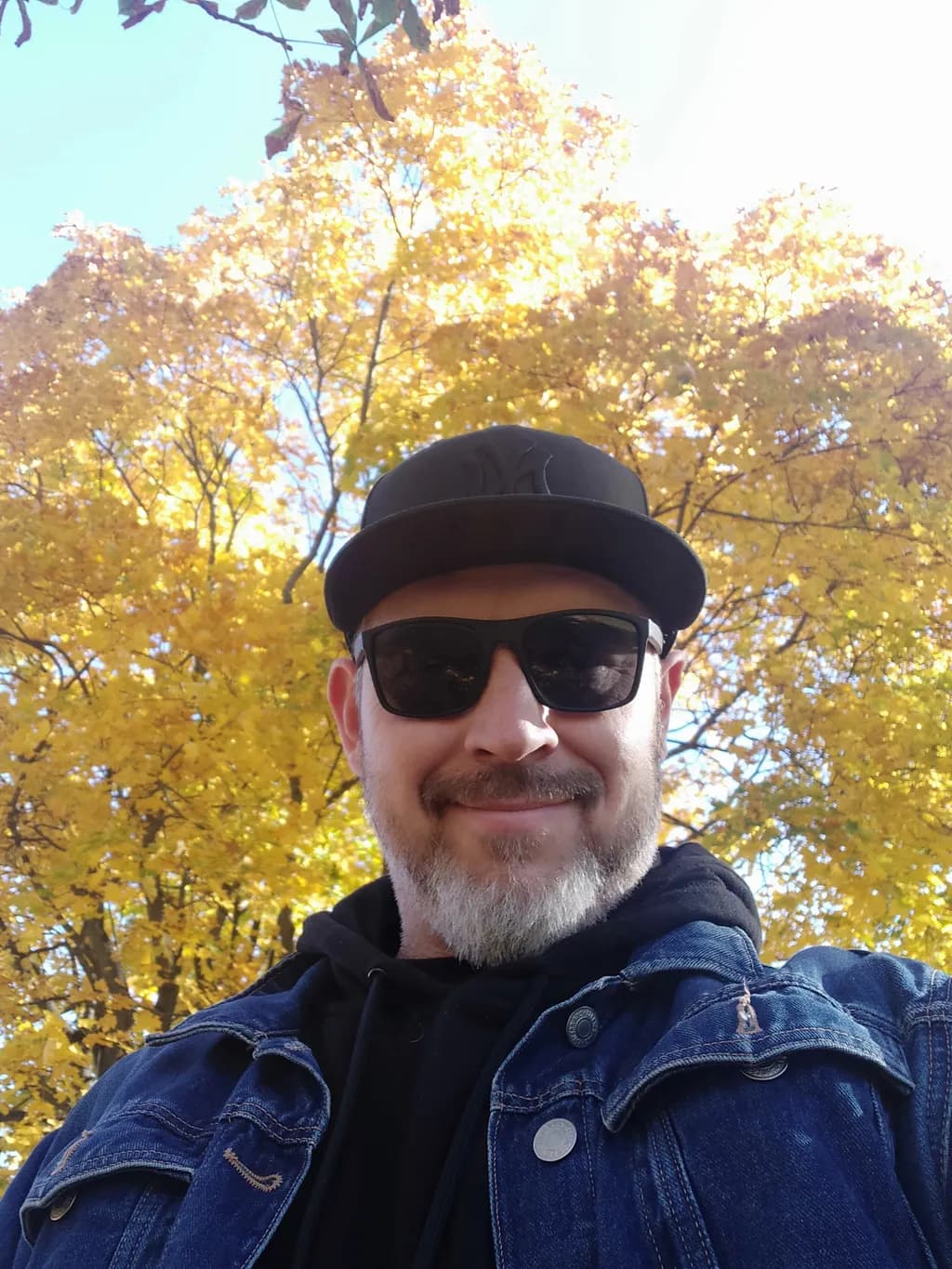 Autumn Radiance