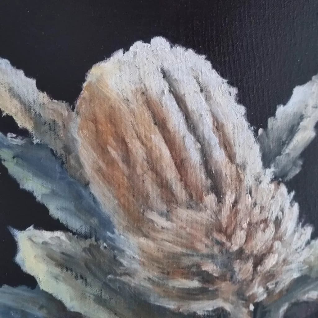 Banksia Bloom