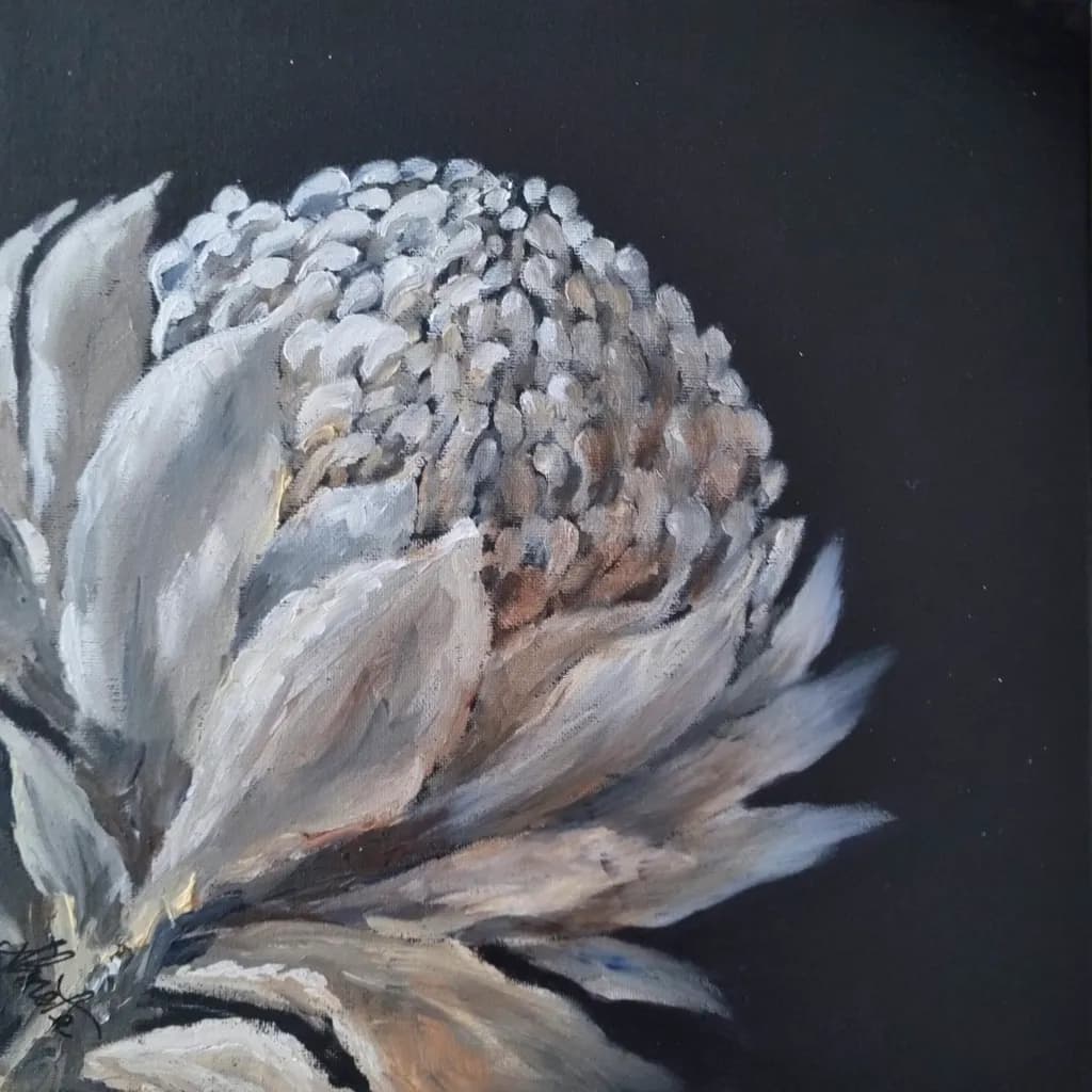 White Waratah