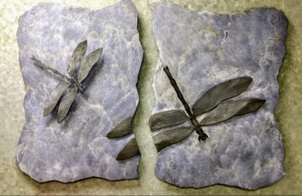 Stonebound Dragonfly