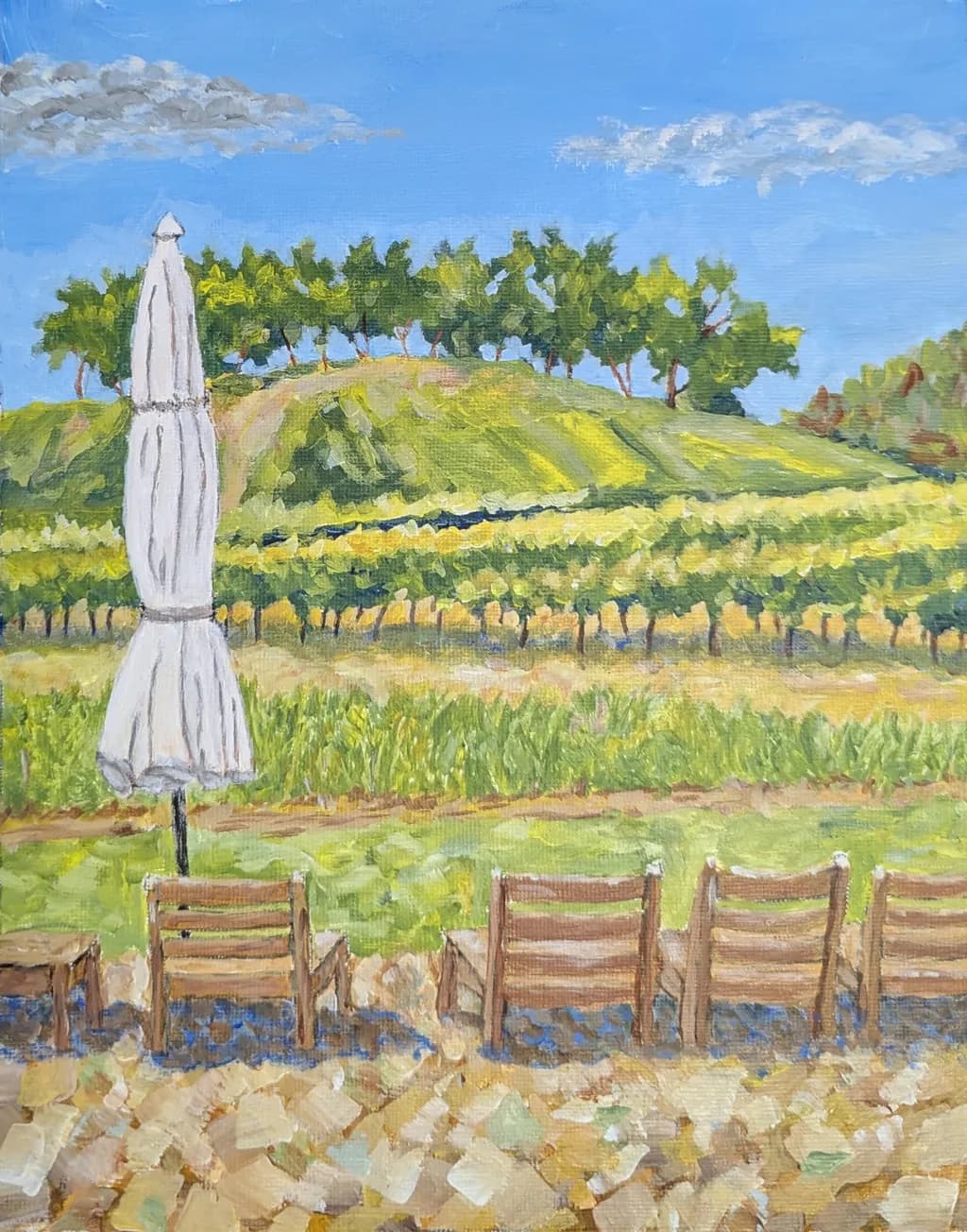 Sunlit Vineyard View