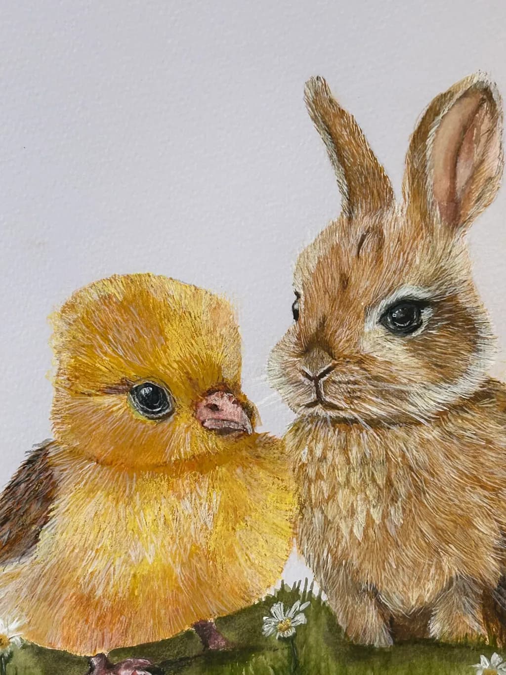Spring Companions