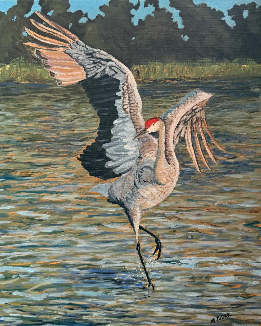 Sandhill Grace