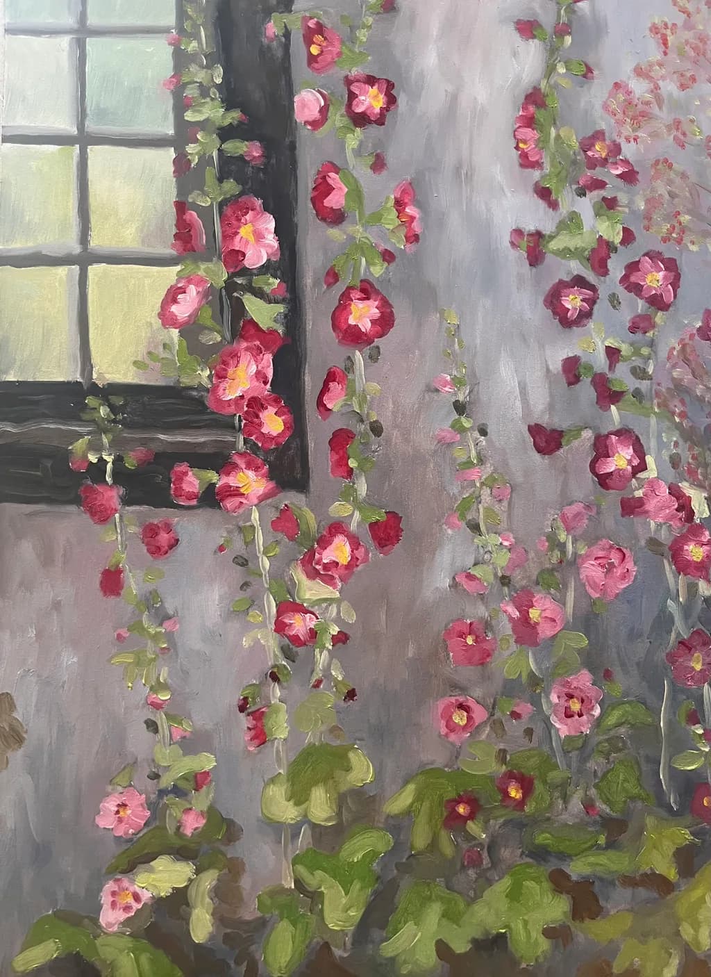 Hollyhock Blooms