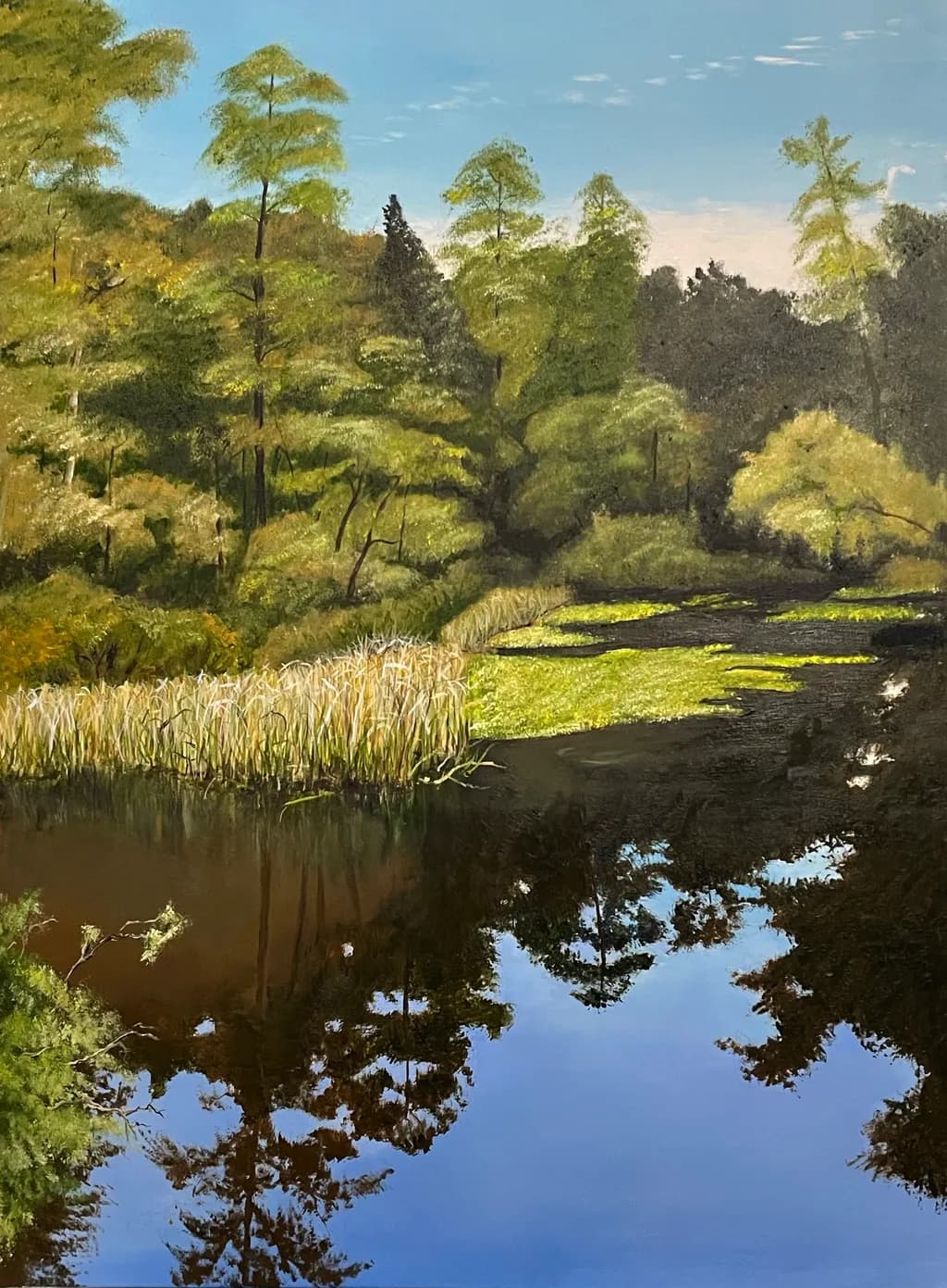 Kathy's Swamp