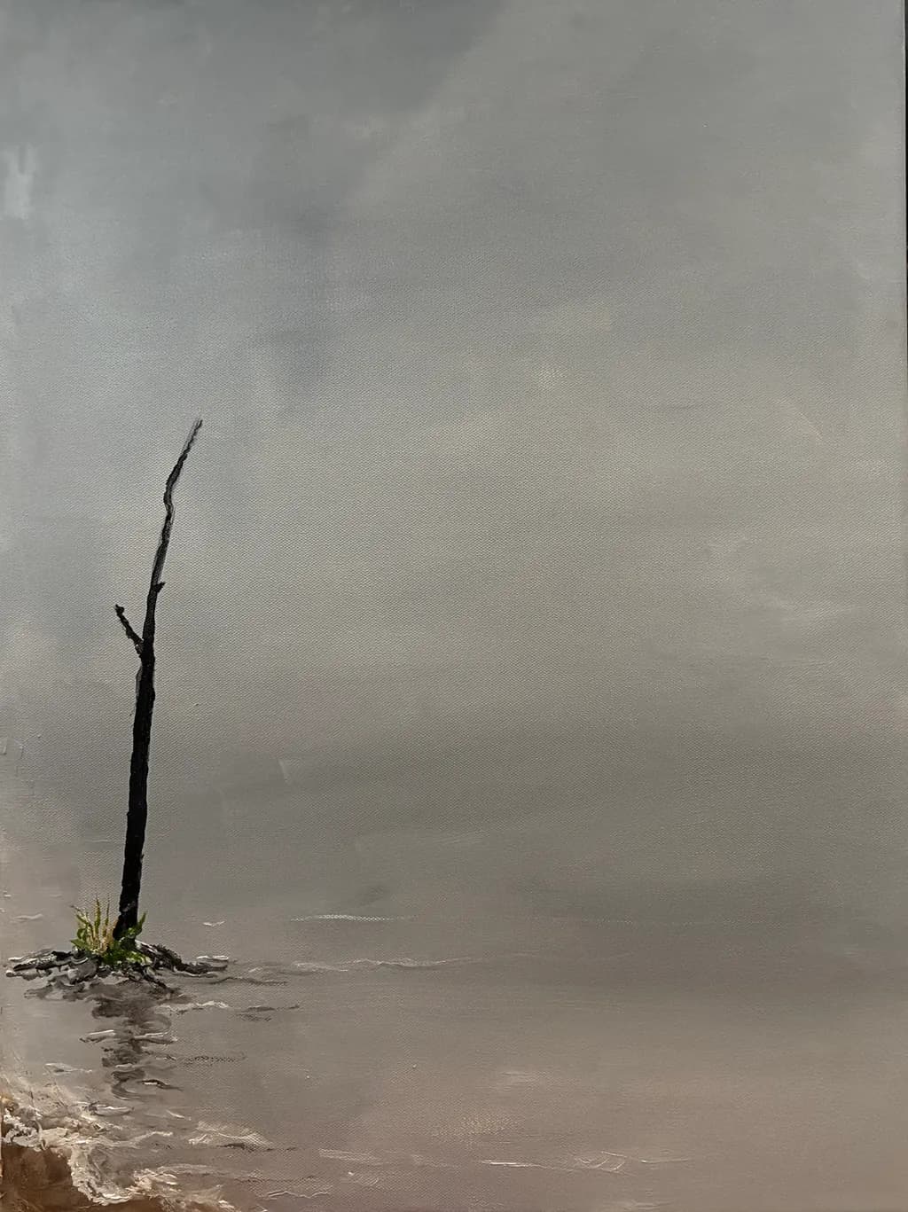 Goose Creek Solitary