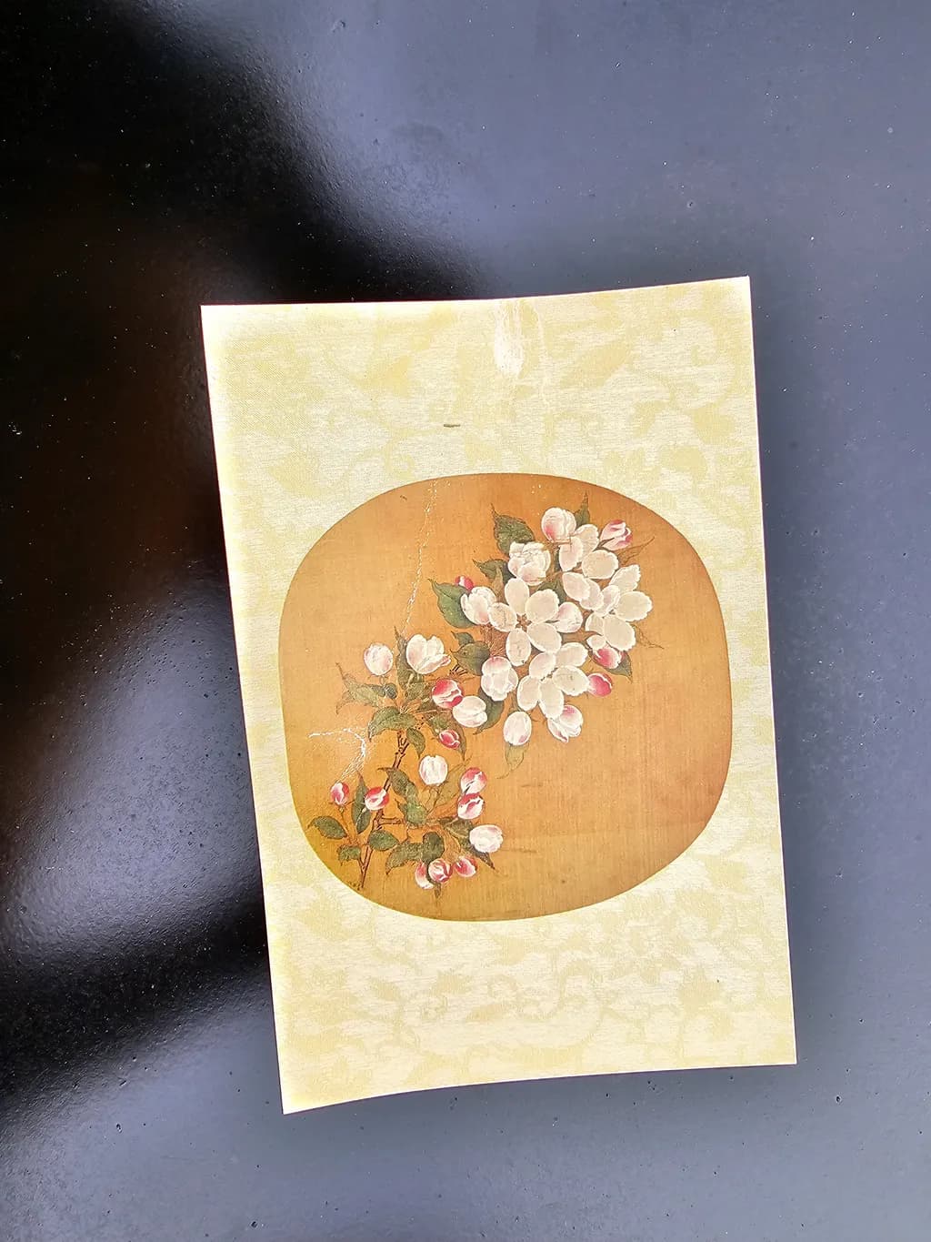Blossom Harmony