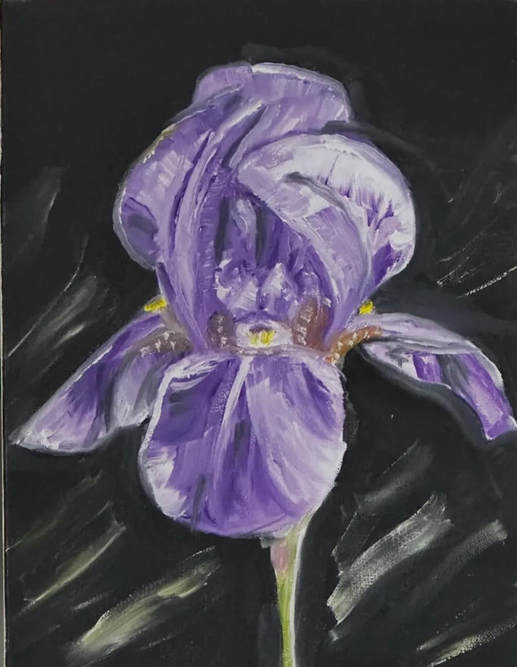 Quiet Iris