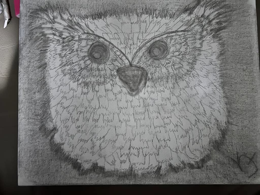 Gaze of Feathers
