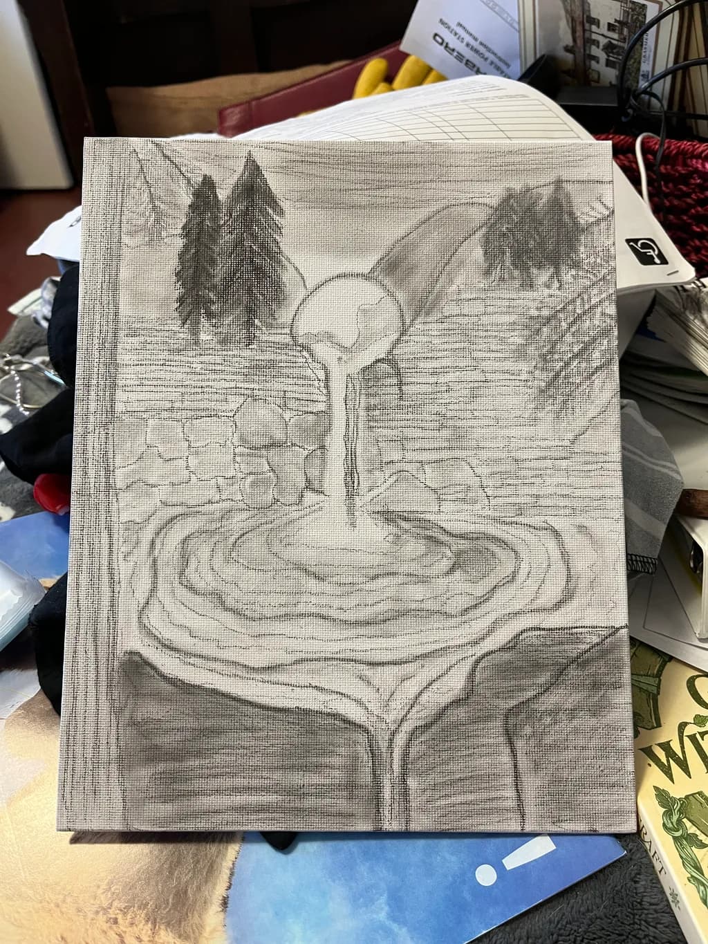 Forest Stream Flow