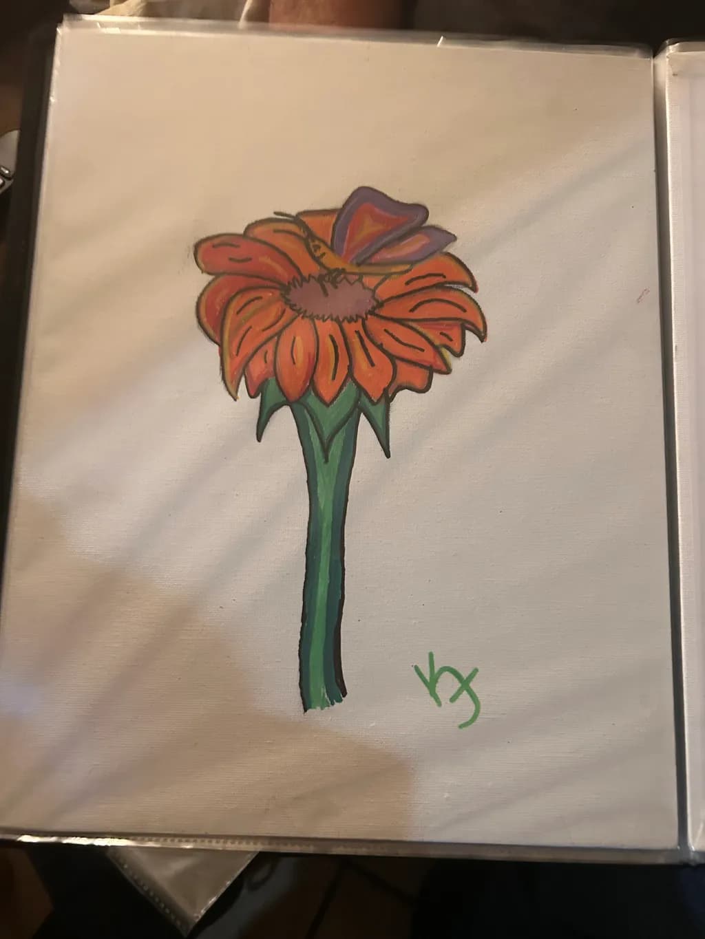 Butterfly Bloom