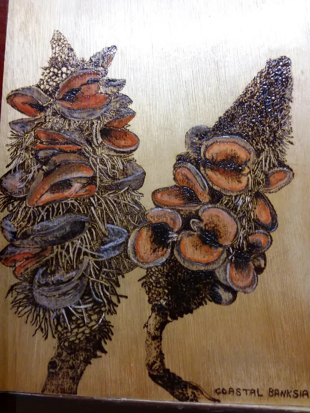 Coastal Banksia