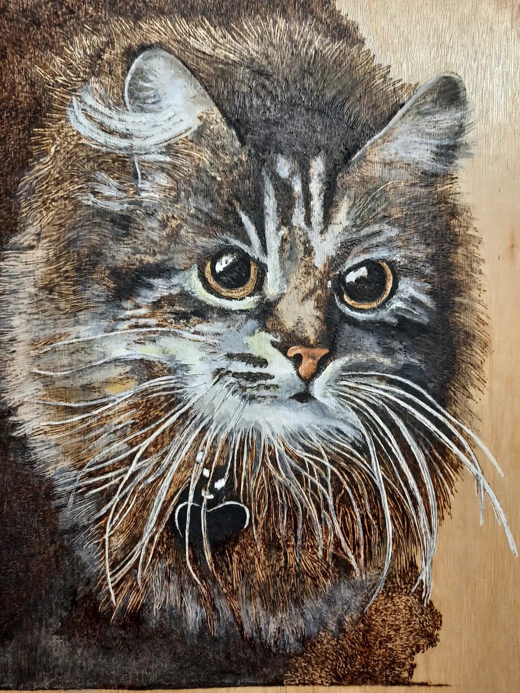 Feline Gaze