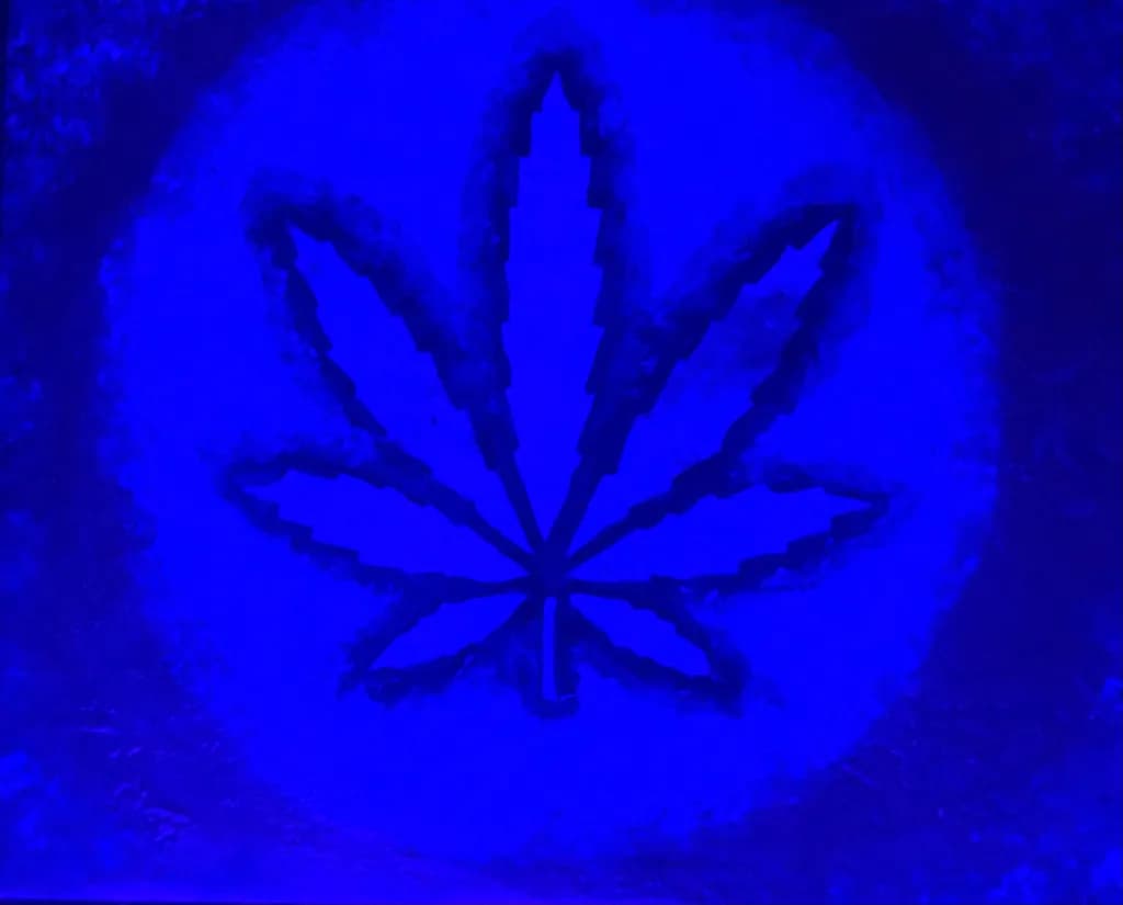 Veil of Nightshade
