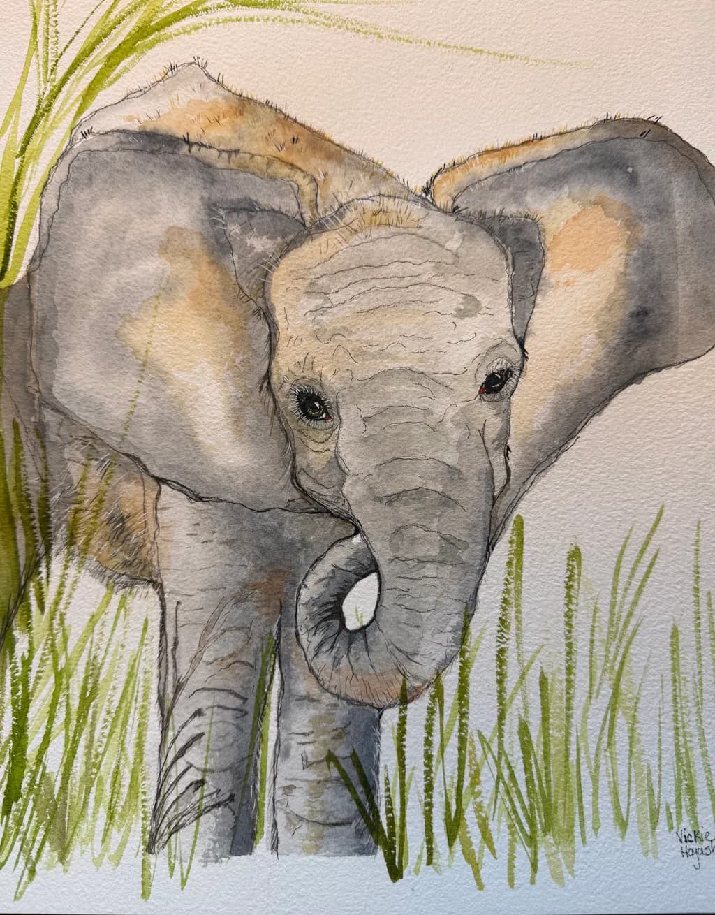 Young Elephant in Grass