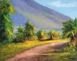 Maui Morn