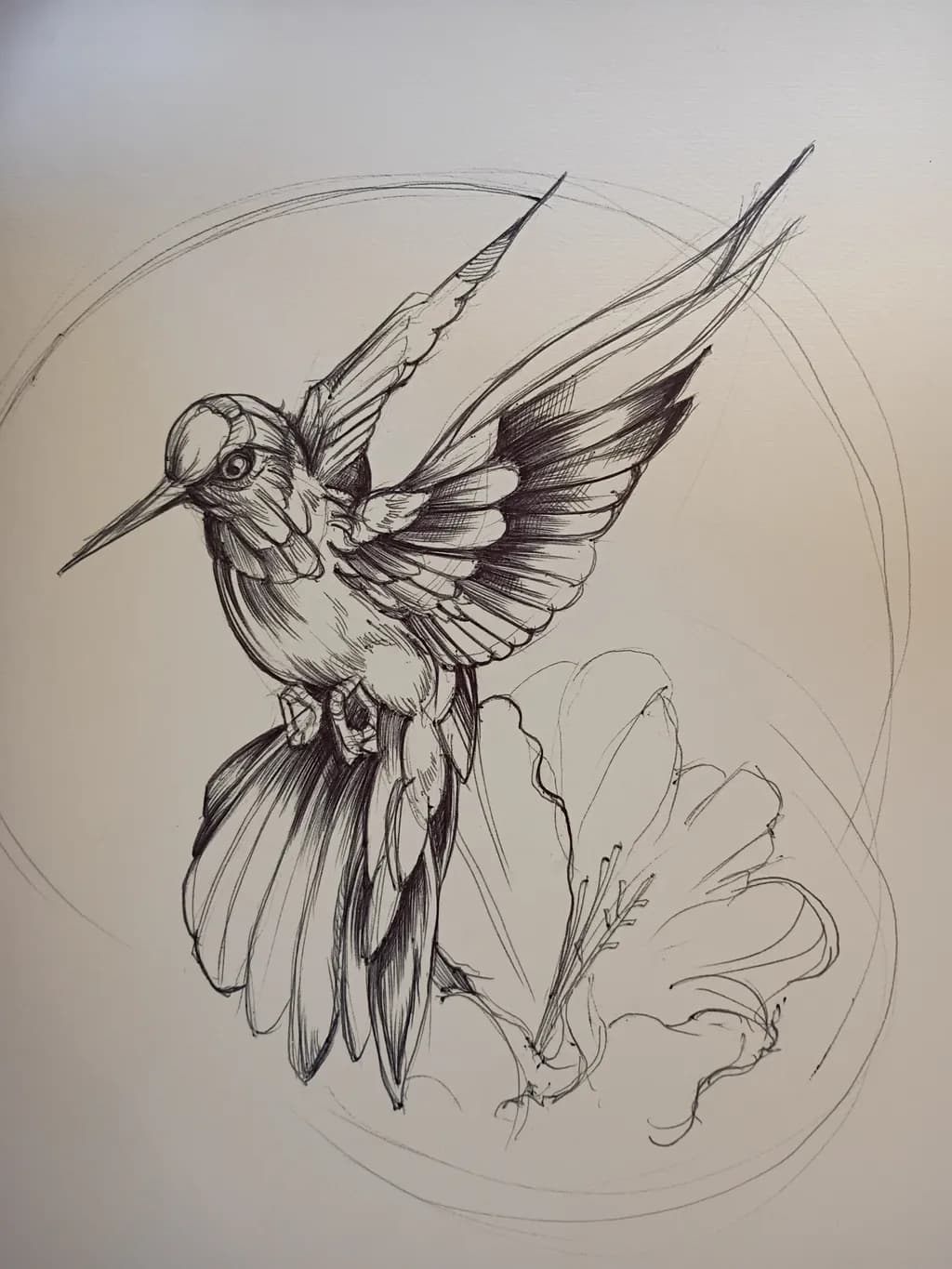 Hummingbird in Flight