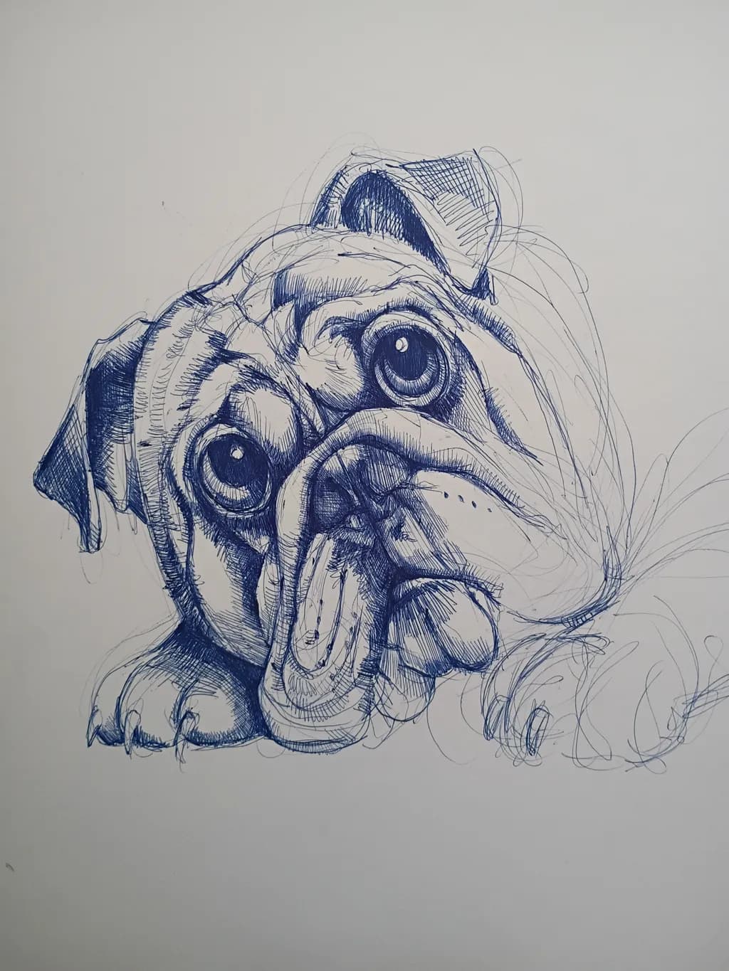 Pensive Pug