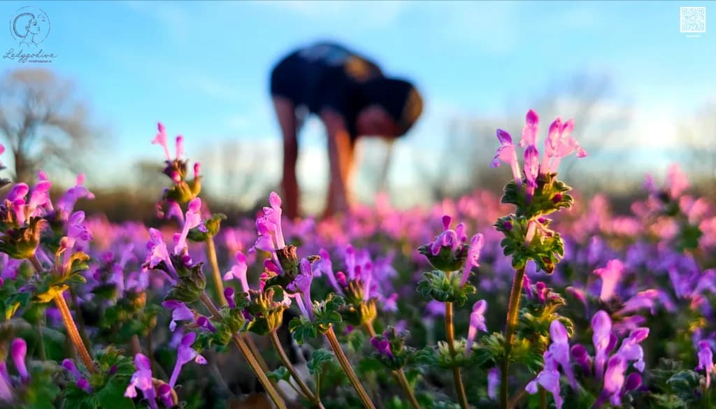 Blooming Focus