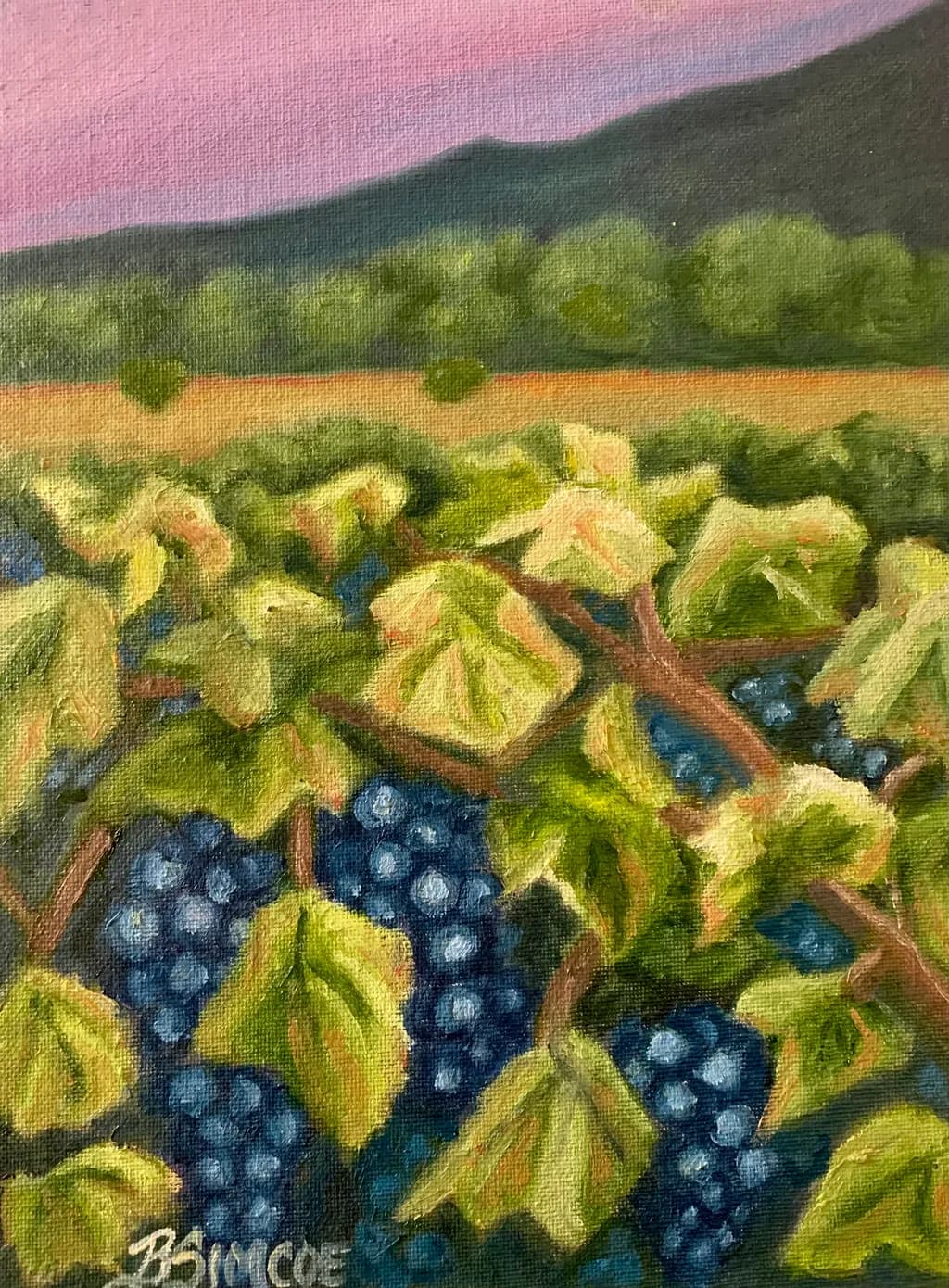 Grapevine Harvest