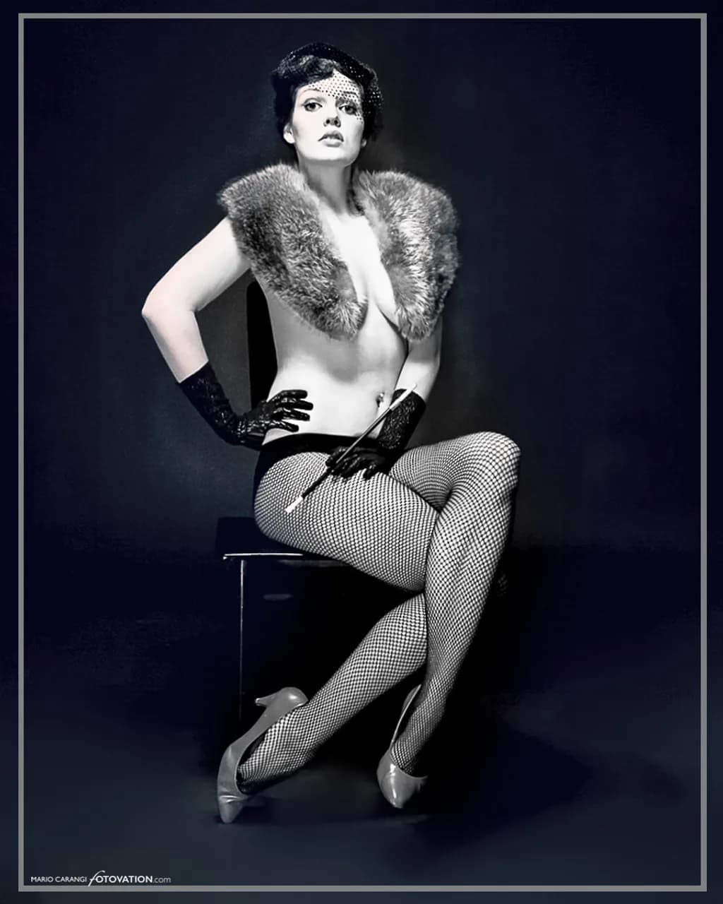 Fishnet Elegance