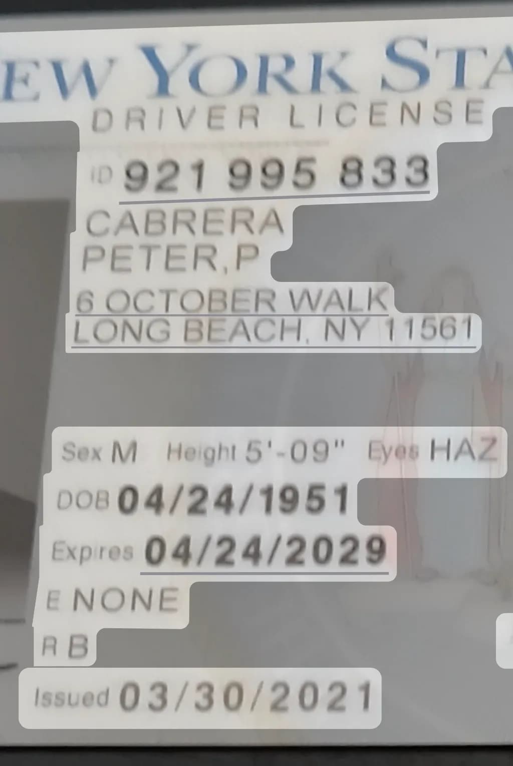 New York License Details