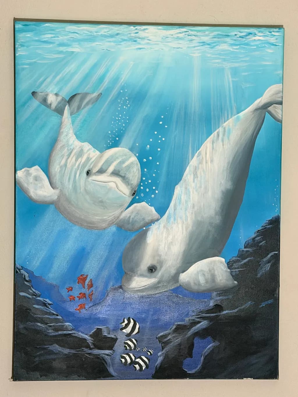 Beluga Encounter