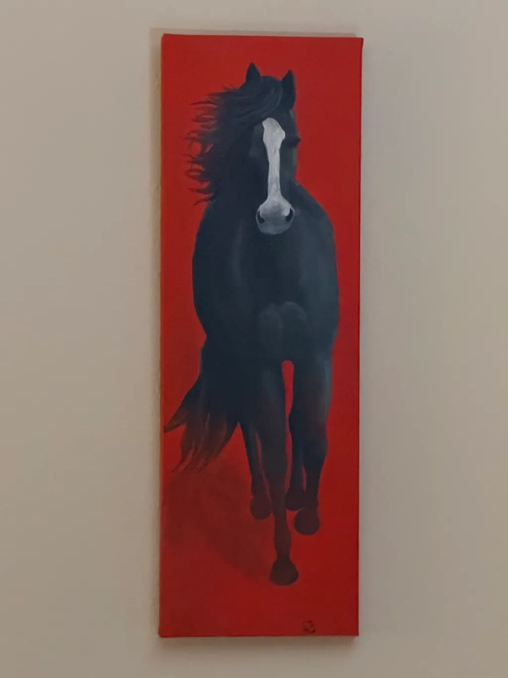 Midnight Gallop