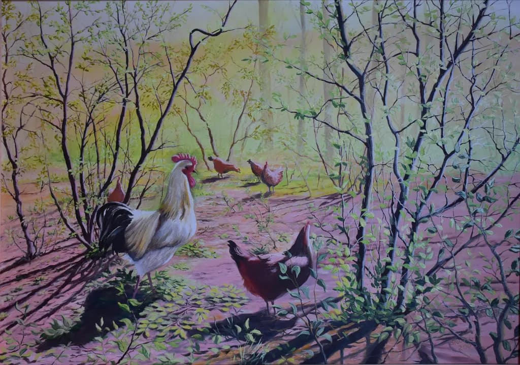 Forest Rooster Gathering