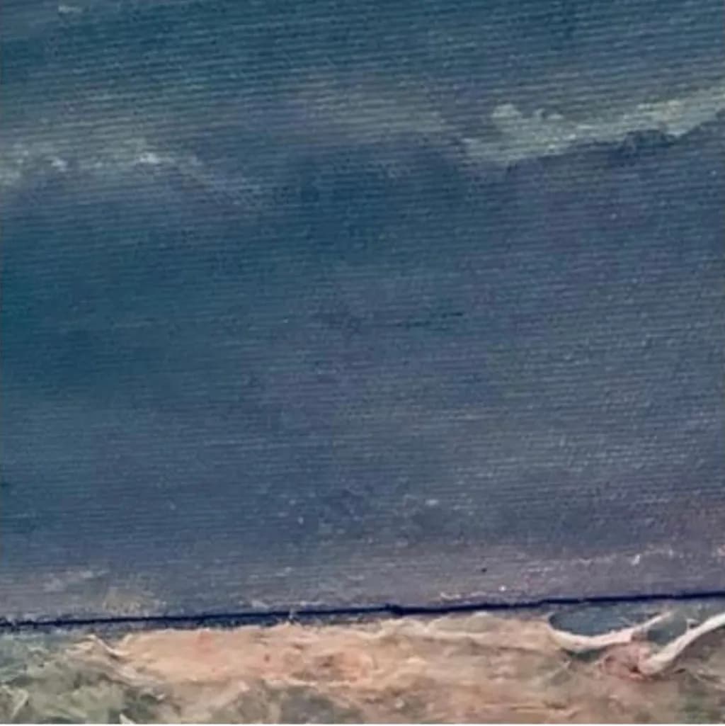 Ocean Edge