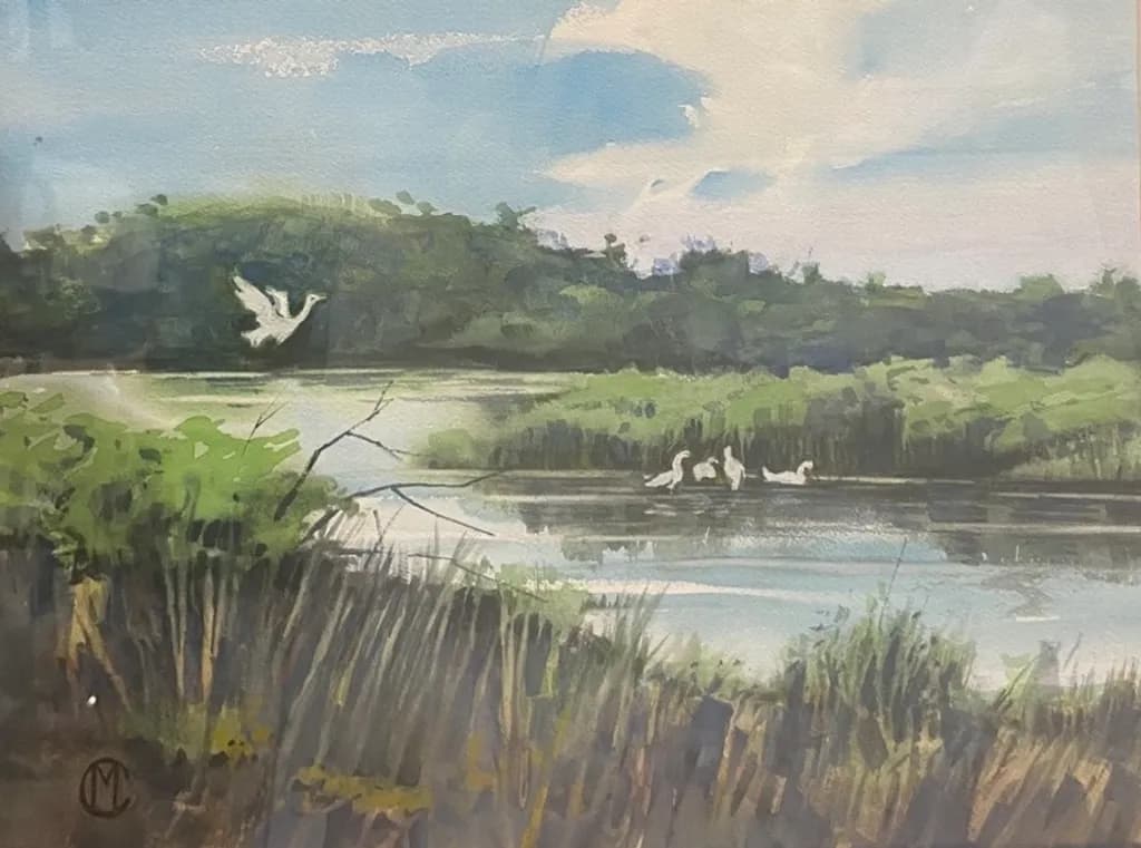 Marsh Haven
