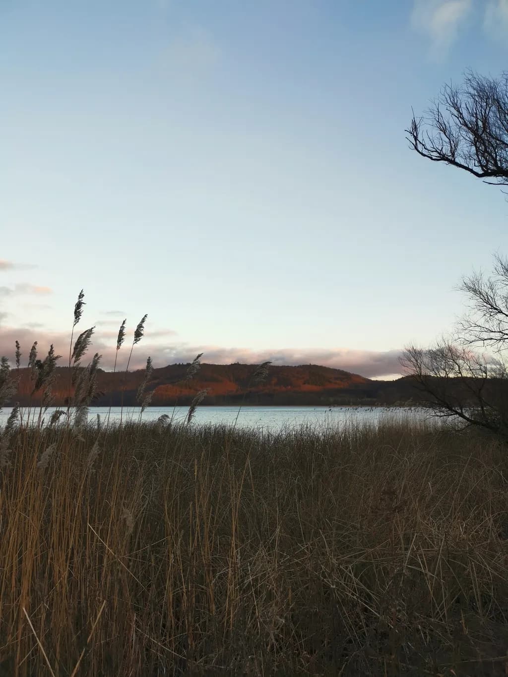 Autumn Shoreline