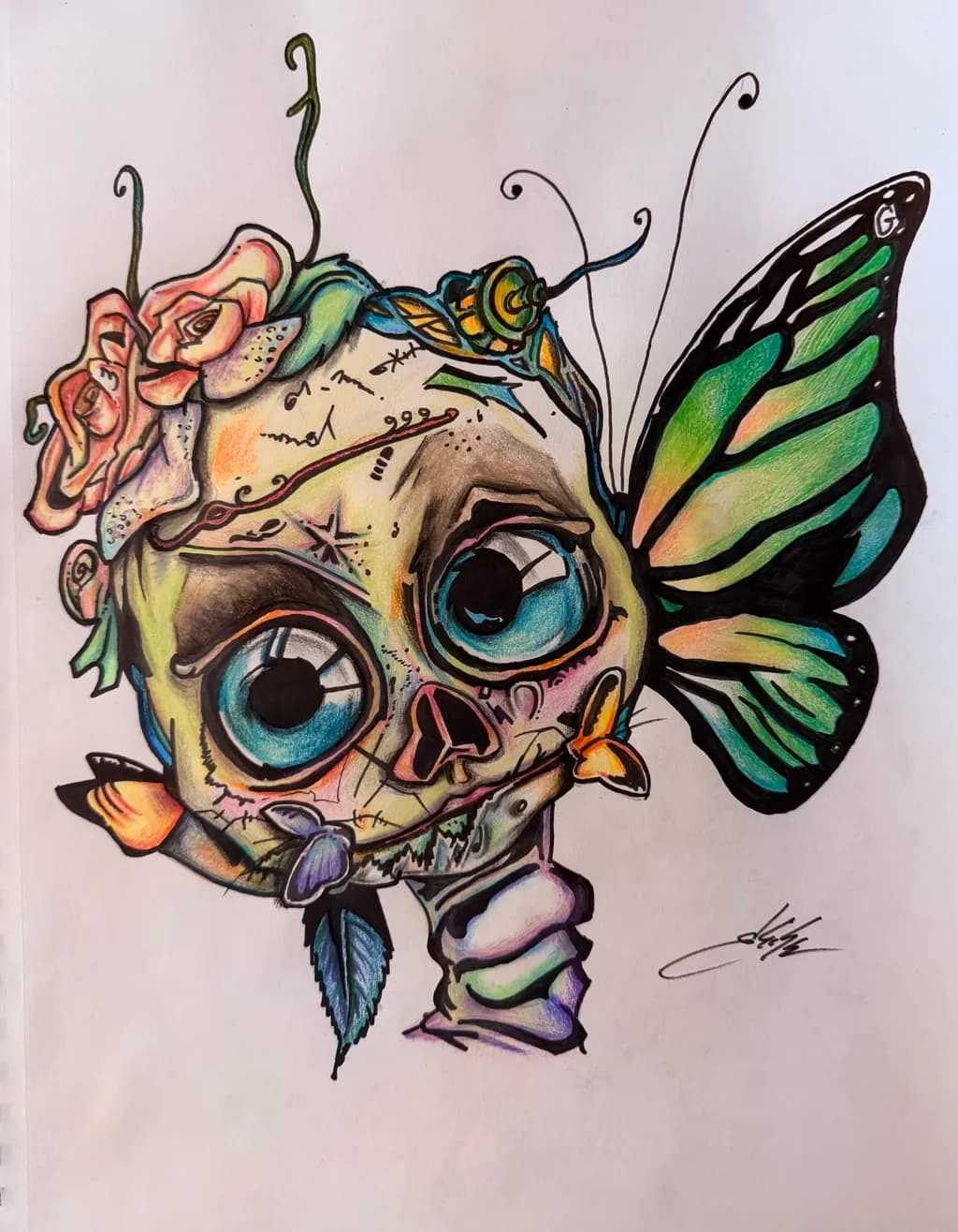 Skullflutter Curious