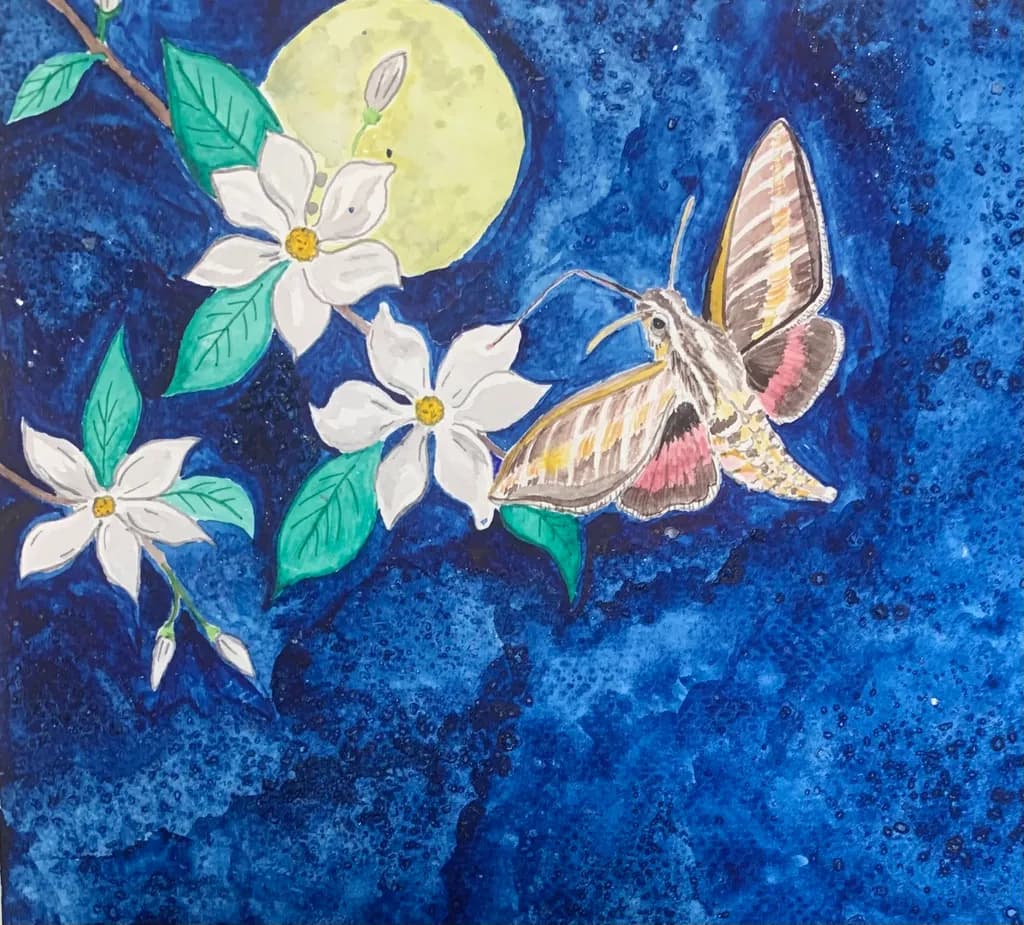 Moonlit Moth Flight