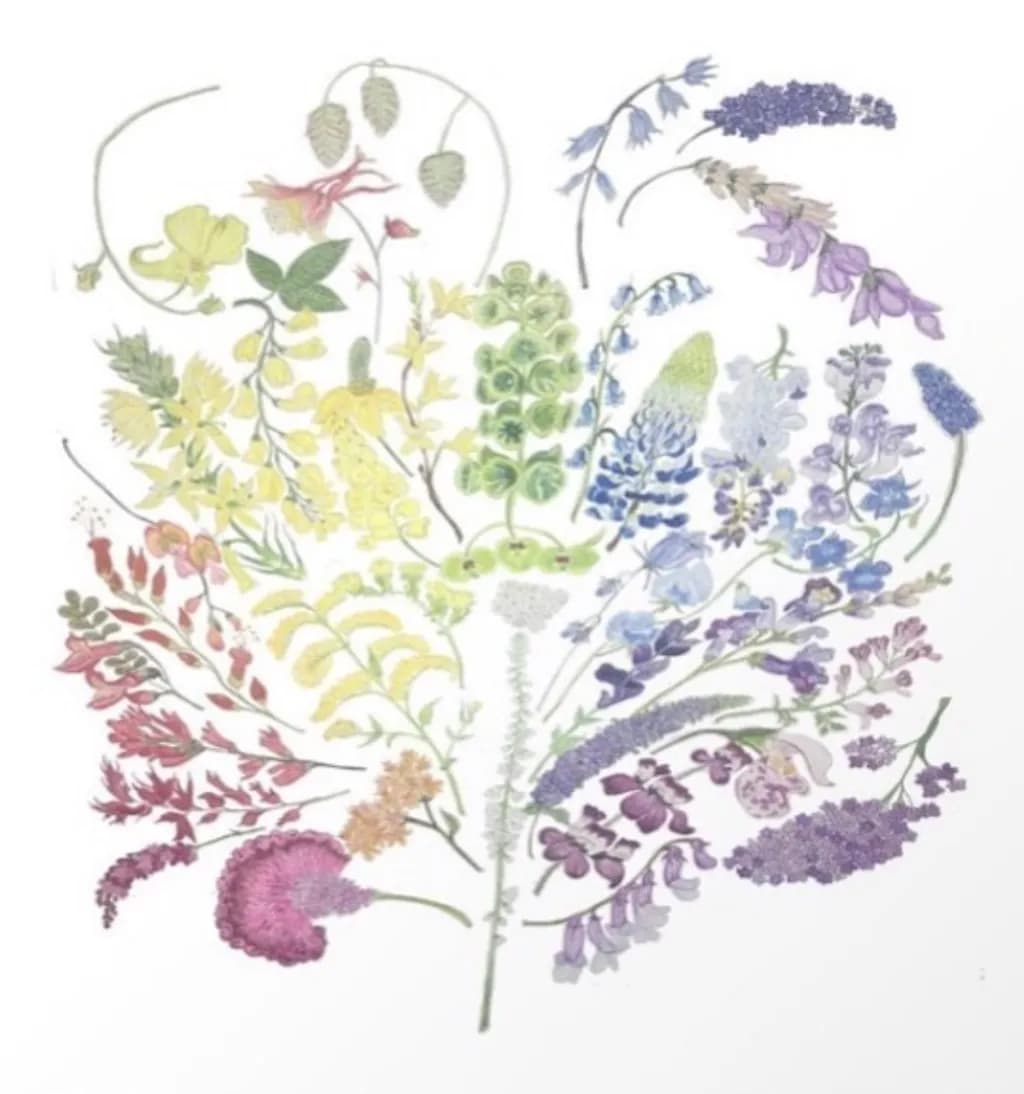 Spectrum Bloom