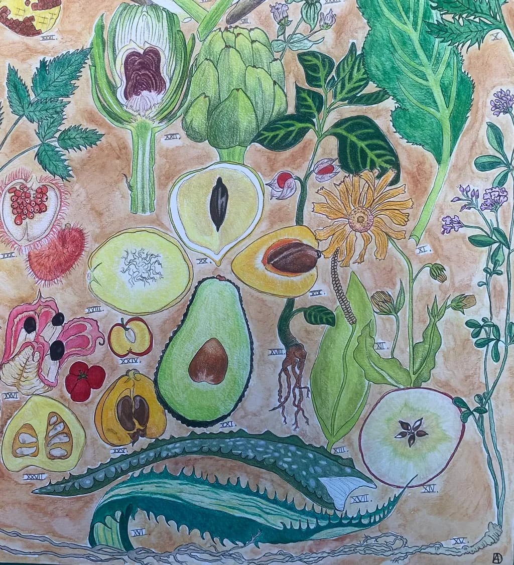 Botanical Harvest