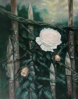 Stormy Rose