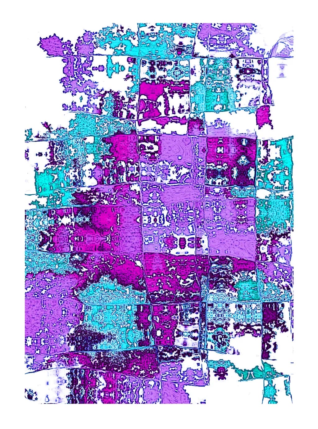 Little Boxes