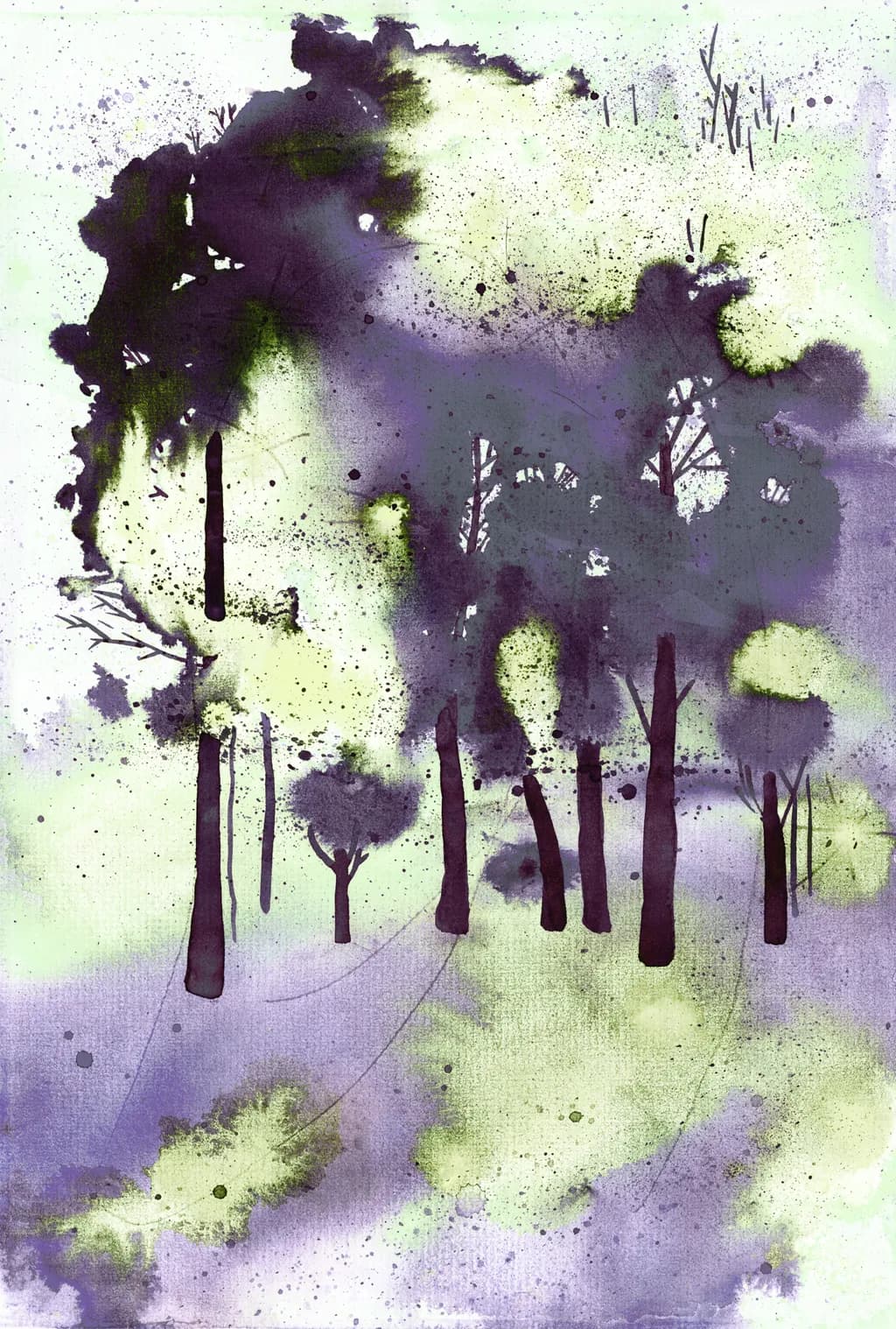 Rainforest Plum