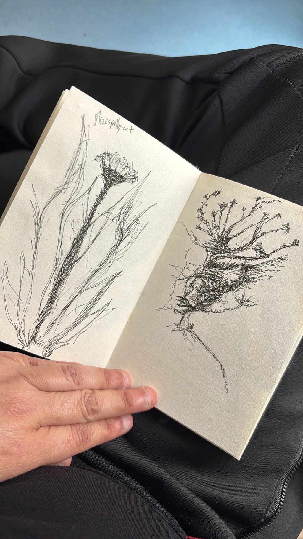 Wildflower Lines