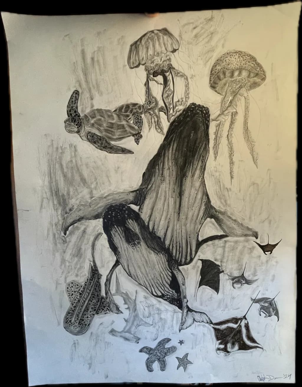 Ocean Giants Assembly