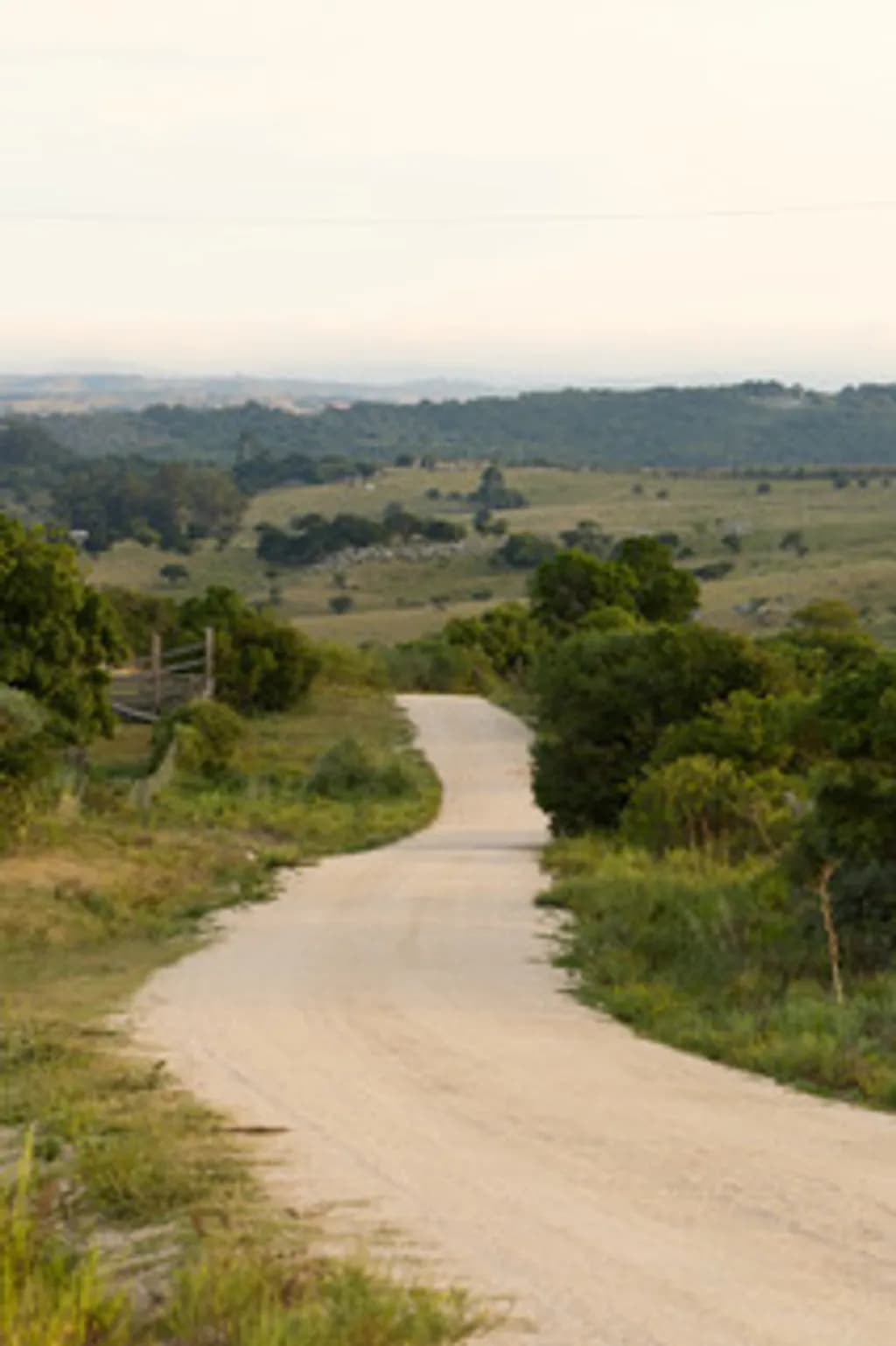 Countryside Road