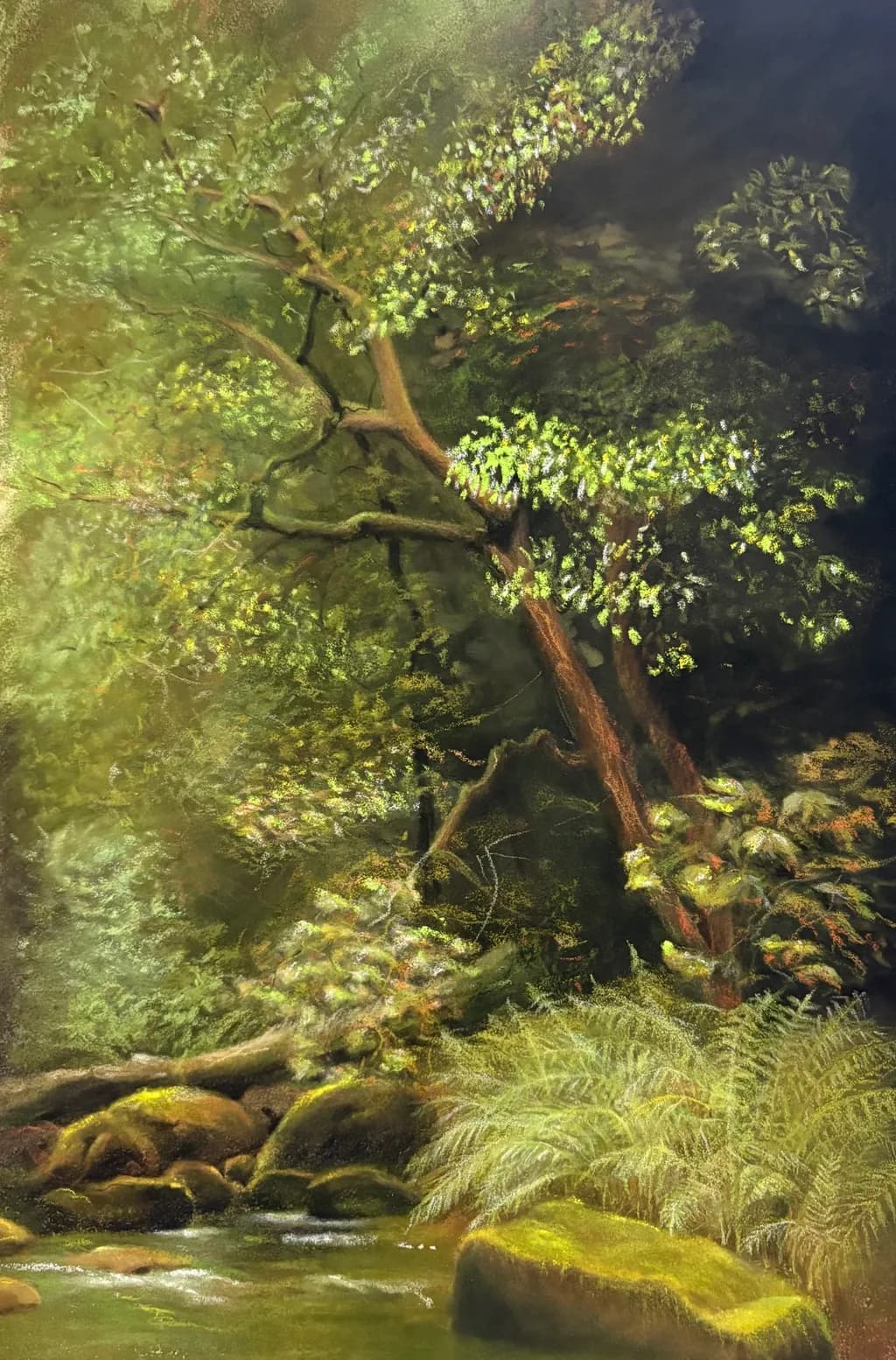 Into the Woods