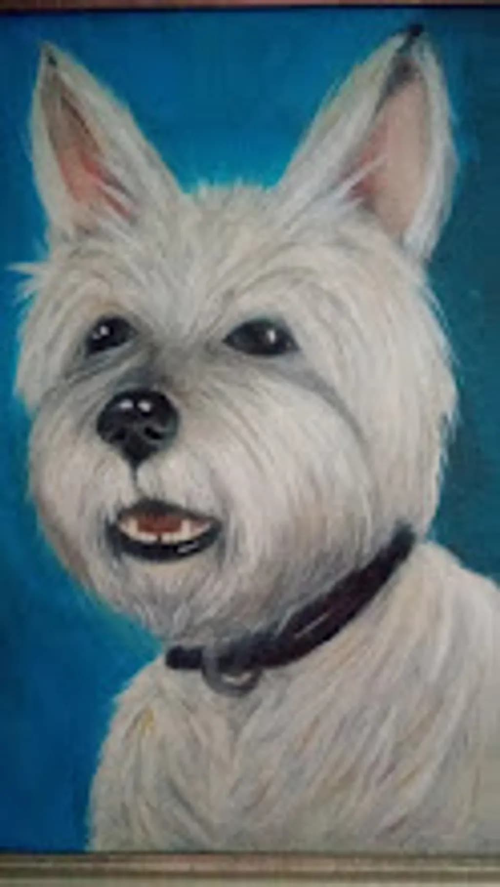 Bright-Eyed Terrier