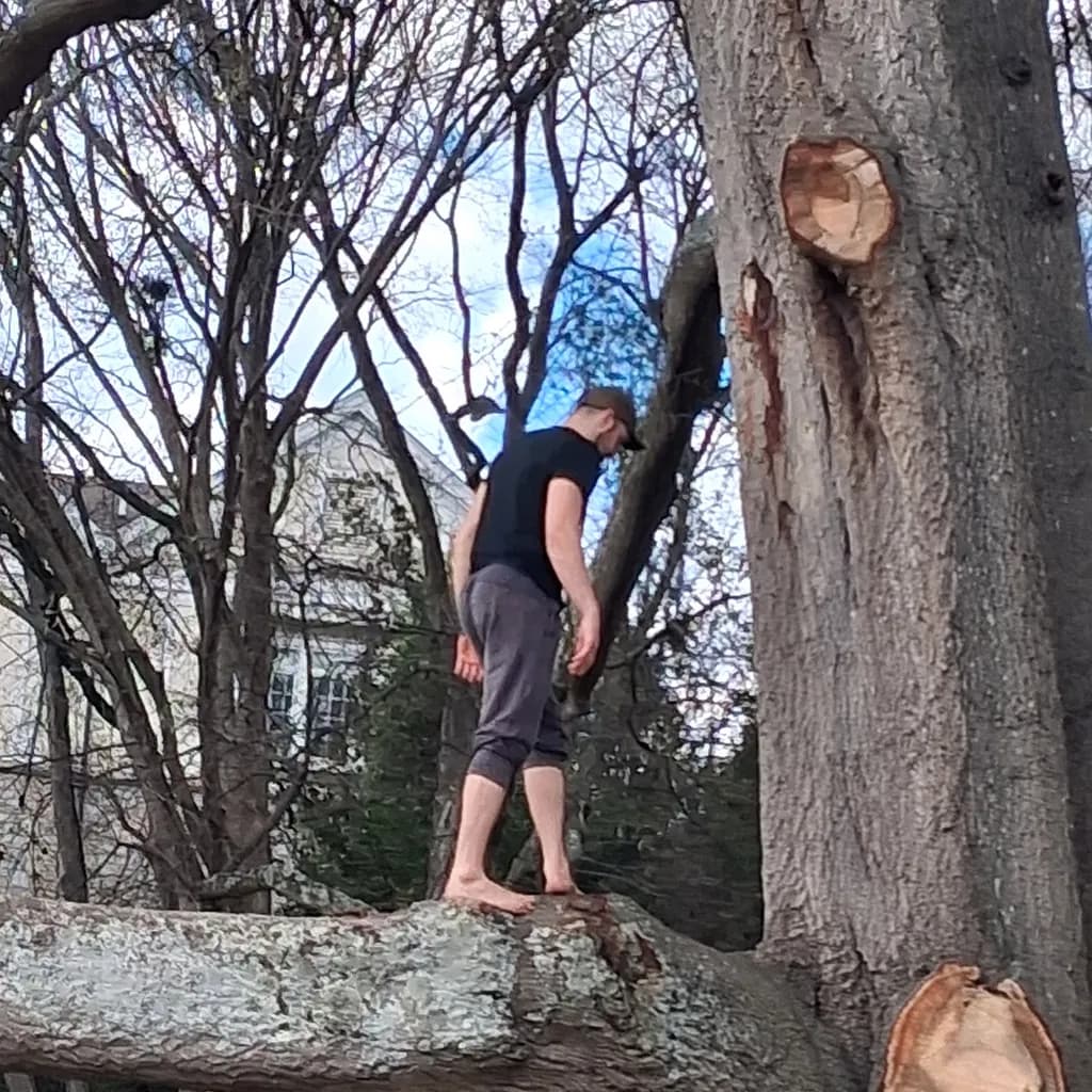 Balancing on Branch