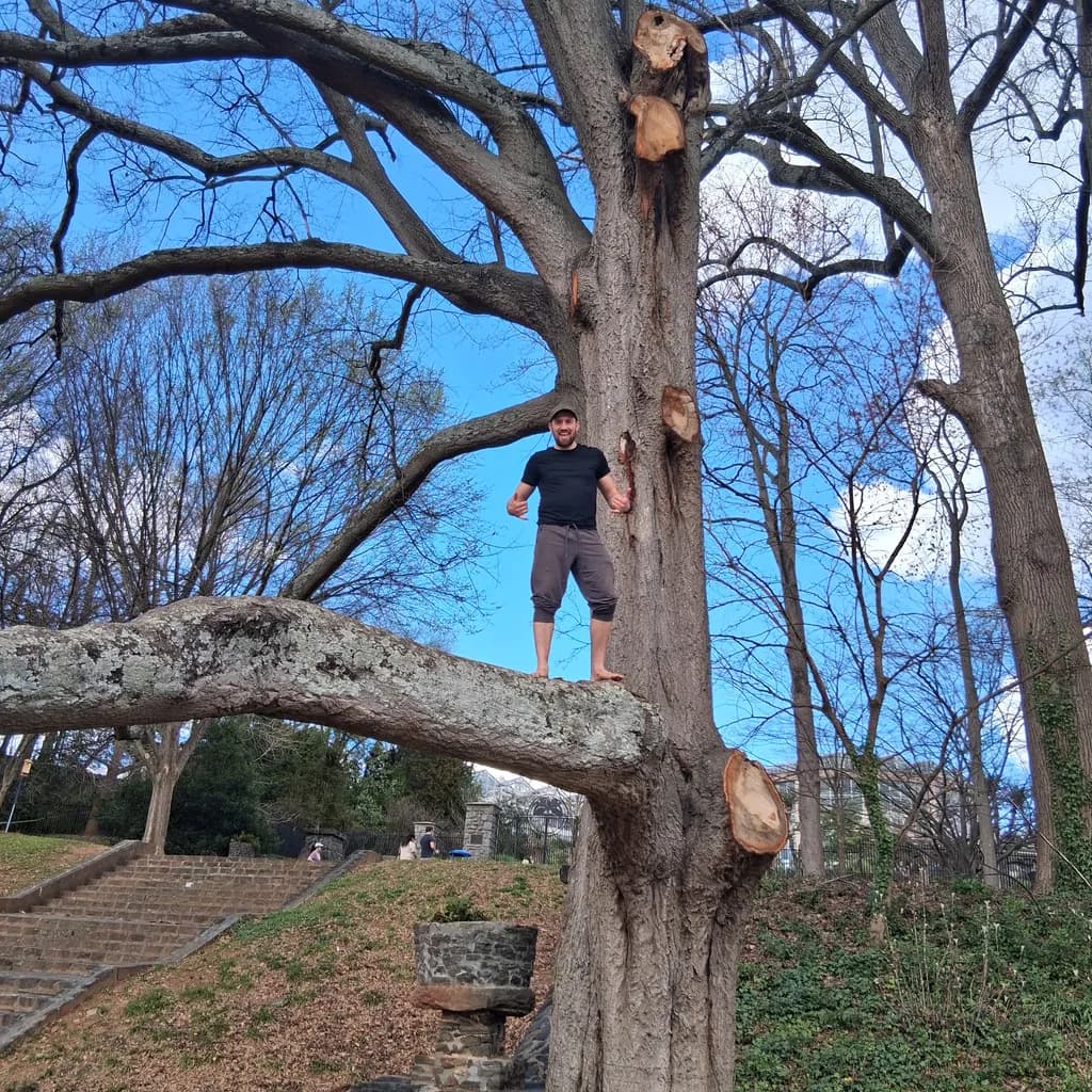 Branch Walker