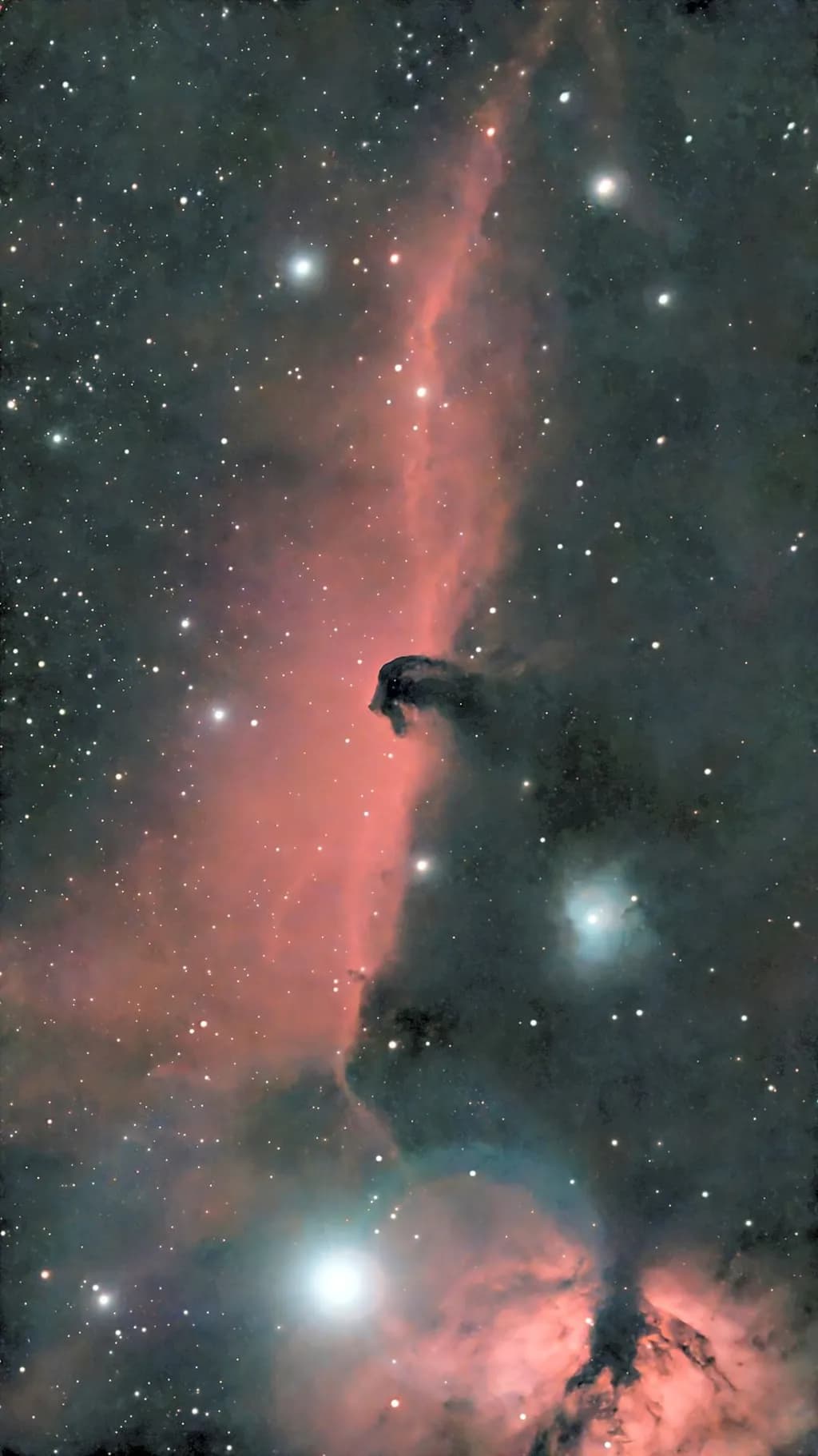 Cosmic Veil