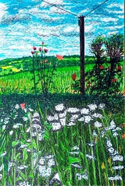 Framed original pen drawing of Mr Platts Garden by Trevor Whetstone