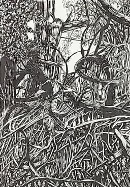 Tanglewood - Fine art print by Trevor Whetstone