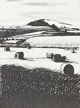 The Fields Are Ripe For Harvest - Fine art print by Trevor Whetstone
